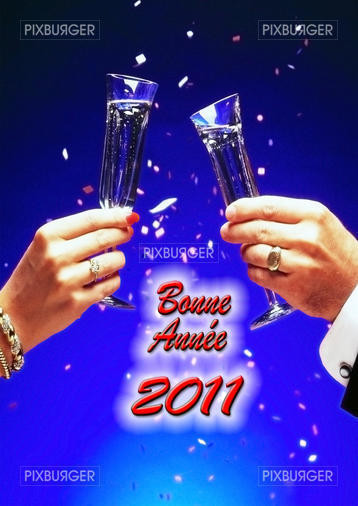 bonne année 2011